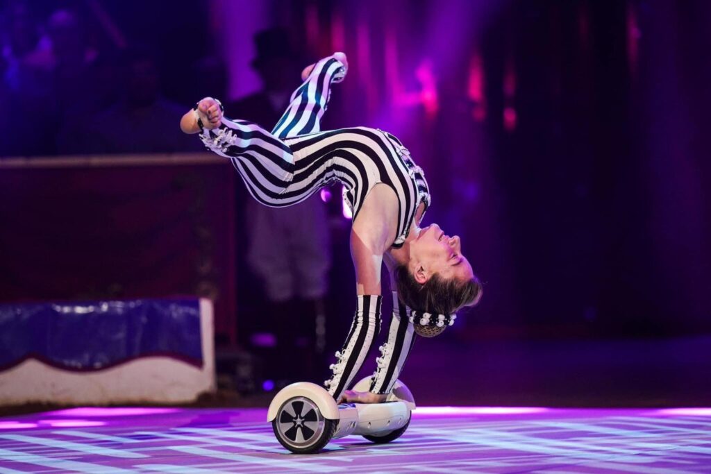 Espectáculos Escuela y Carpas de Circo