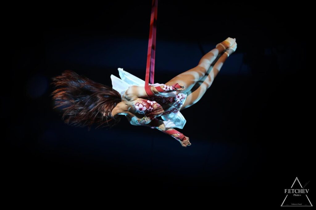 Espectáculos de Circo para todas las Edades