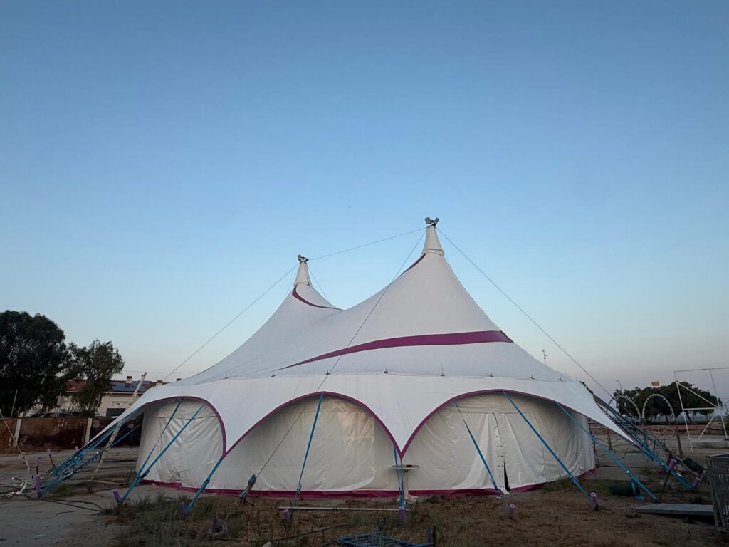 2025_MiniSmile_Carpa_18m_09