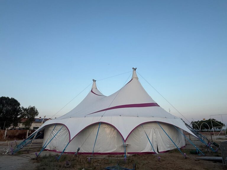 2025_MiniSmile_Carpa_18m_09